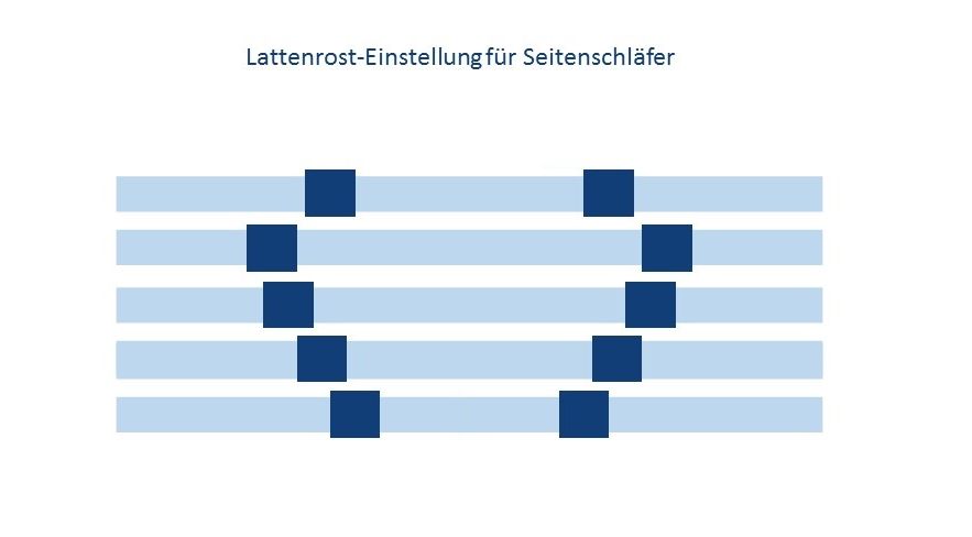 seitenschläfer