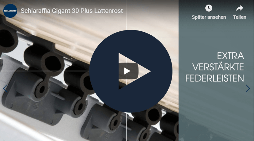 Lattenrost Gigant 30 Plus Schlaraffia 